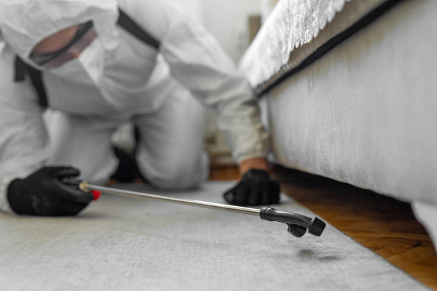 Professional Termite Control technician working in Iva, SC
