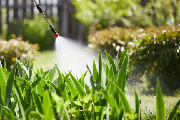 24/7 Emergency Termite Control experts in Iva, SC